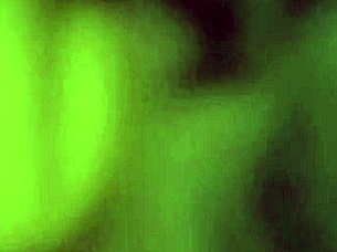 Hot muscular roommates engage in hairy gay sex with rimjob and bareback blowjob