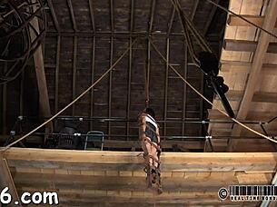 Beautiful woman freed from cage for rough sex and bondage with her partner