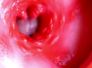A juicy doll waits for a big cock