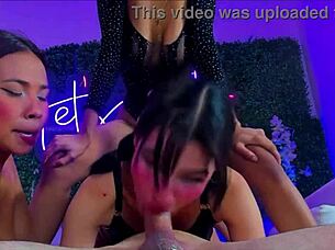 All these girls are addicted to sucking dicks and swallowing them whole