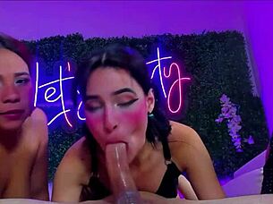 All these girls are addicted to sucking dicks and swallowing them whole
