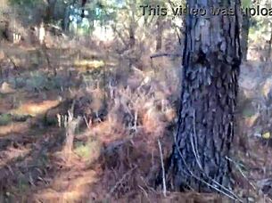 Clitlicker662, show me your solo masturbation in the forest flashing that pussy.