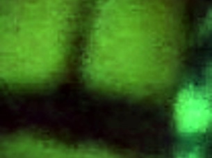 Blue Film Voyeurism: Len Quay's Retro Porn