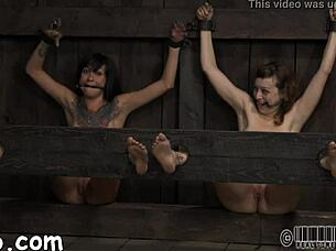 Tough sexy girl gets strip fucked, gagged and collared in nasty fucking contest