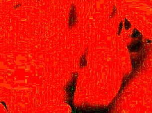 A fat BBW's interracial amateur likes oral skills