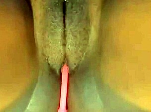 Stacy7’s pussy drips with pleasure and is blown by pussy