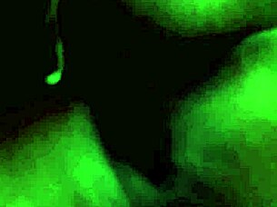 The fat lover of one horny dorm resident gives her a filthy last night, then a creampie